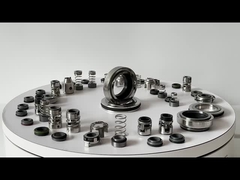 Vervang Grundfos GLF-SPK-12mm SPK 2/4 Airconditioning Pump Mechanical Seal