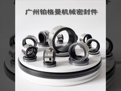 John Crane 502 Waterpomp Mechanische afdichting 100 mm Voor industriële pompen