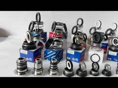 EA560D Burgmann Pomp Mechanische afdichting WQ Onderwater Onbalans