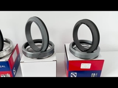 ABS AFP Onderwaterpomp Mechanische afdichting 90mm 100mm Wave Spring